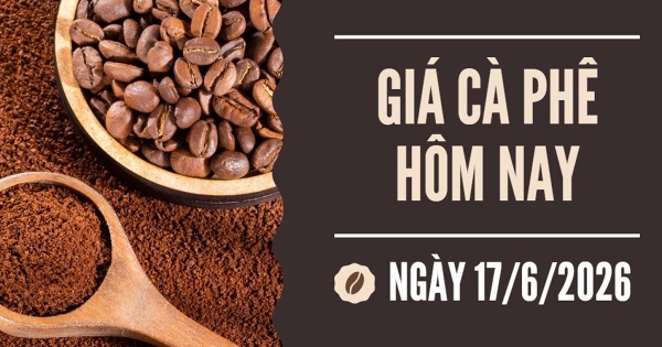 Giá cà phê hôm nay 17/6: Tiếp đà tăng, giá cà phê thế giới chạm mức cao nhất trong nhiều tuần
