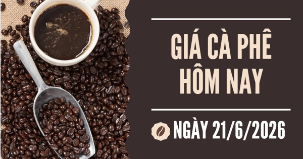 Giá cà phê hôm nay 21/6: Thế giới khởi sắc, nông dân trong nước vẫn chịu áp lực giá giảm