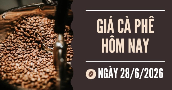 Giá cà phê hôm nay 28/6: Tăng trở lại mốc 90.000 đồng/kg trong tuần qua, nhiều nông dân vẫn chưa vội bán ra