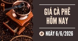 Giá cà phê hôm nay 6/6: Arabica chạm đáy 18 tháng, robusta thấp nhất trong 7 tuần