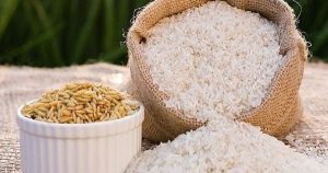 Giá lúa gạo hôm nay 13/6: Gạo bán lẻ tăng 1.000 đồng/kg, lúa tiếp tục đi ngang