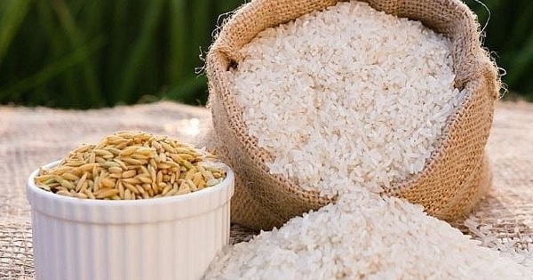 Giá lúa gạo hôm nay 13/6: Gạo bán lẻ tăng 1.000 đồng/kg, lúa tiếp tục đi ngang