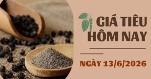Giá tiêu hôm nay 13/6: Đồng loạt tăng, cao nhất 140.500 đồng/kg