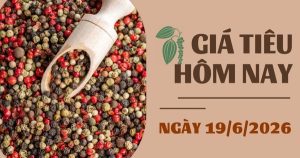 Giá tiêu hôm nay 19/6: Hai đối thủ cạnh tranh với Việt Nam cùng hạ giá chào bán