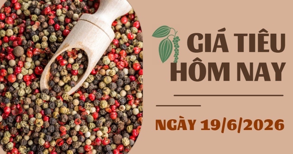 Giá tiêu hôm nay 19/6: Hai đối thủ cạnh tranh với Việt Nam cùng hạ giá chào bán