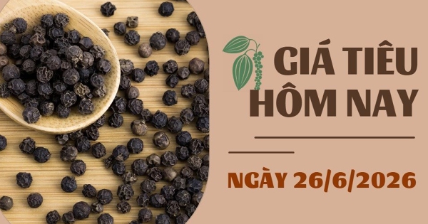 Giá tiêu hôm nay 26/6: Đức tăng nhập khẩu tiêu trở lại, nguồn cung từ Việt Nam tiếp tục chiếm ưu thế
