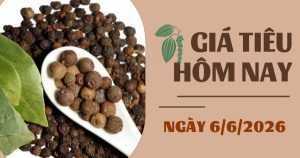 Giá tiêu hôm nay 6/6: Xuất khẩu hồ tiêu tăng mạnh, mang về gần 800 triệu USD sau 5 tháng đầu năm