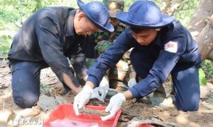 Tập trung cao nhất cho nhiệm vụ tìm kiếm và xác định danh tính hài cốt liệt sỹ