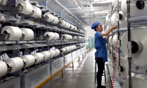 Sợi Thế Kỷ chốt ngày nhận cổ tức bằng cổ phiếu tỷ lệ 10