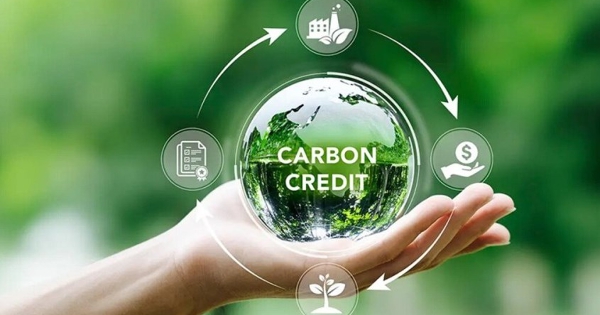 DNSE sẵn sàng vận hành cùng thị trường carbon từ phiên giao dịch đầu tiên