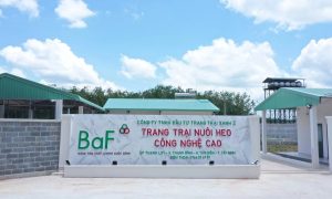 BAF chi 810 tỷ đồng thành lập 4 công ty mới tại Hà Nội