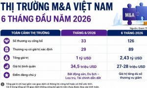 M A tại Việt Nam đạt 2 43 tỷ USD sau nửa đầu năm xuất hiện các thương vụ lớn