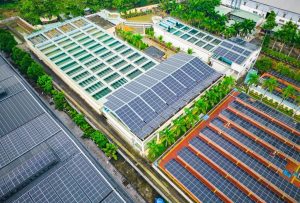 Lợi nhuận Nam Tân Uyên tăng trưởng nhờ cổ tức tiền gửi tăng mạnh
