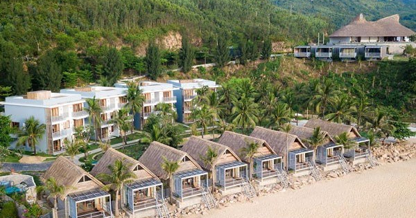 CEO Bamboo Capital gửi tâm thư xin lỗi cổ đông sau quyết định hủy niêm yết