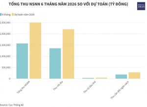 Thu ngân sách 6 tháng đạt 62 dự toán năm 2026
