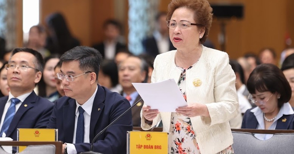 Chủ tịch BRG kiến nghị thí điểm cơ chế đặc thù với tổ hợp thương mại, du lịch và vui chơi giải trí quy mô lớn