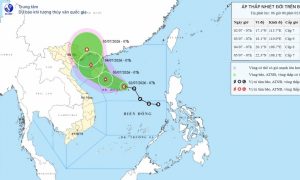 Áp thấp nhiệt đới có khả năng mạnh thành bão trong đêm nay