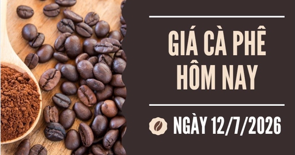Giá cà phê hôm nay 12/7: Thị trường tuần qua chao đảo vì đầu cơ và lo ngại El Niño, doanh nghiệp dè dặt giao dịch