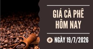 Giá cà phê hôm nay 19/7: Tăng tuần thứ 4 liên tiếp, áp sát mốc 100.000 đồng/kg