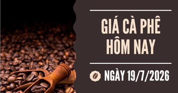 Giá cà phê hôm nay 19/7: Tăng tuần thứ 4 liên tiếp, áp sát mốc 100.000 đồng/kg