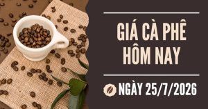 Giá cà phê hôm nay 25/7: Đảo chiều tăng trong phiên cuối tuần, áp lực nguồn cung vẫn hiện hữu