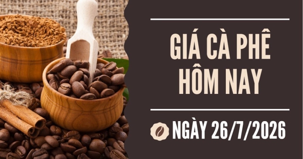 Giá cà phê hôm nay 26/7: Giao dịch trầm lắng, giá cà phê trong nước giảm về mốc 96.000 đồng/kg trong tuần qua