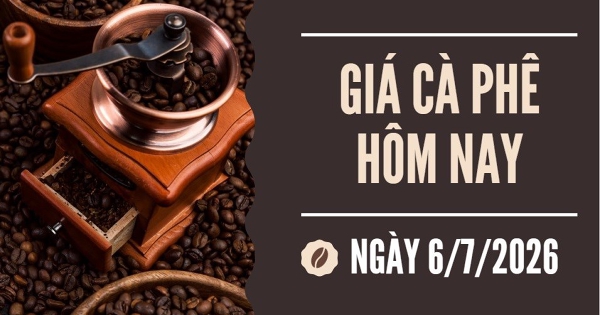 Giá cà phê hôm nay 6/7: Thu hoạch tại Brazil gián đoạn vì mưa, giá cà phê sẽ tiếp tục tăng trong tuần này?