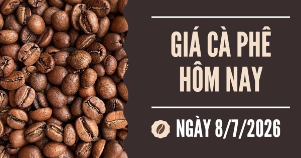 Giá cà phê hôm nay 8/7: Giảm mạnh sau phiên tăng lịch sử