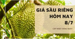 Giá sầu riêng hôm nay 8/7: Tiếp tục chững giá, 37 cơ sở được phép kiểm nghiệm sầu riêng, mít xuất khẩu