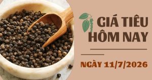 Giá tiêu hôm nay 11/7: Giá xuất khẩu bất ngờ lao dốc, tiêu trắng bốc hơi 800 USD/tấn