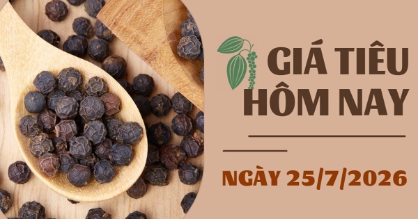 Giá tiêu hôm nay 25/7: Tiêu Việt chiếm hơn một nửa thị phần tại Đức