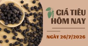 Giá tiêu hôm nay 26/7: Nội địa tăng nhẹ, thế giới tiếp tục phân hóa trong tuần qua