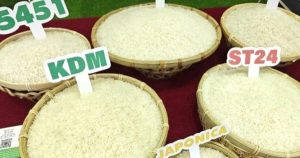 Giá lúa gạo hôm nay 4/7: Lúa tươi giữ đà tăng bất chấp động thái mới từ Philippines