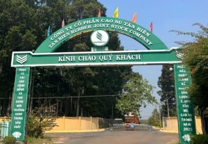 Cao su Tân Biên báo lãi quý 2 2026 giảm hơn 50