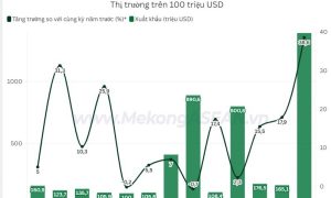 Xuất khẩu thủy sản đạt gần 6 tỷ USD dự báo lạc quan nửa cuối năm