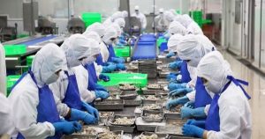 Thuế Mục 301 của Hoa Kỳ sẽ tác động thế nào đến thủy sản và gỗ Việt Nam?