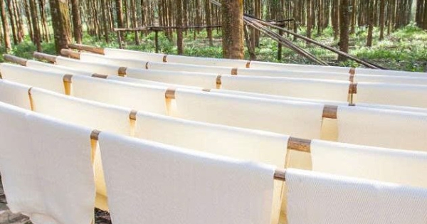Giá cao su hôm nay 24/7: Malaysia đi lên nhờ giá dầu tăng và số liệu Trung Quốc khởi sắc