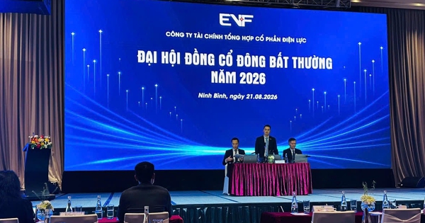 Đại hội bất thường EVF: Ông Nguyễn Cảnh Anh vào HĐQT, nới room ngoại lên 50%