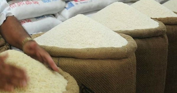 Giá lúa gạo hôm nay 22/8: Tiếp đà đi xuống, nhiều chủng loại giảm 100 – 150 đồng/kg