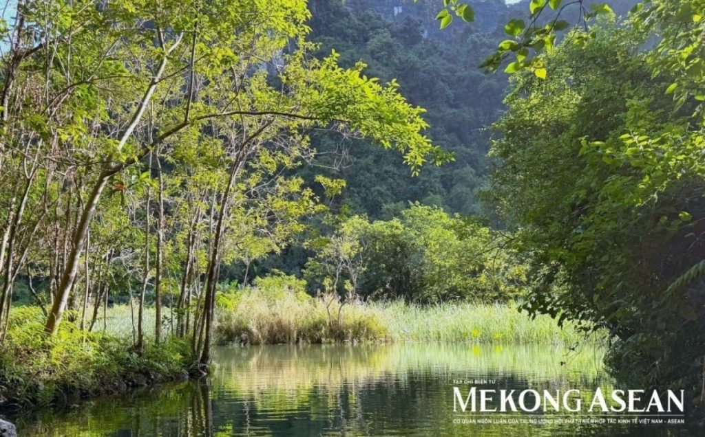 Gần 20 triệu lượt du khách đến Ninh Bình trong 8 tháng đầu năm缩略图 Gần 20 triệu lượt du khách đến Ninh Bình trong 8 tháng đầu năm