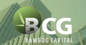 Bamboo Capital và BCG Land bị hủy tư cách công ty đại chúng