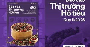 [Báo cáo] Thị trường hồ tiêu quý II/2026: Giá tiêu khó tăng nếu xung đột Trung Đông tiếp tục kéo dài