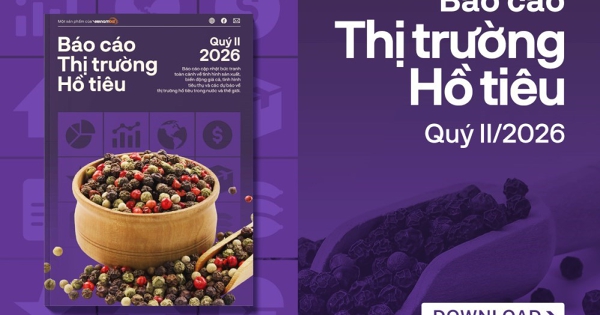 [Báo cáo] Thị trường hồ tiêu quý II/2026: Giá tiêu khó tăng nếu xung đột Trung Đông tiếp tục kéo dài