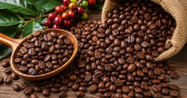 Bộ Công Thương: Xuất khẩu cà phê có thể tăng 8- 10% trong năm nay