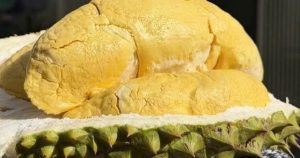 Trung Quốc chi gần 1 tỷ USD mua sầu riêng Việt Nam
