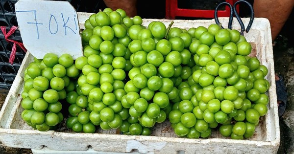 Nho mẫu đơn Trung Quốc từ hàng cao cấp còn vài chục nghìn đồng