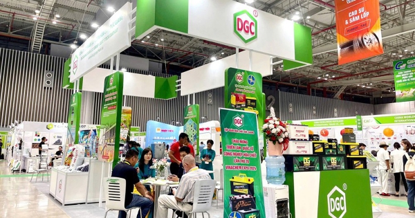 Hoá chất Đức Giang nói gì về ý kiến ngoại trừ của kiểm toán?