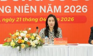 Bà Phạm Thị Vân Hà xin rời ghế Chủ tịch ROX Key sau hơn một năm