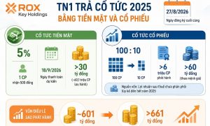 ROX Key Holdings sắp trả cổ tức vốn điều lệ dự kiến vượt 661 tỷ đồng