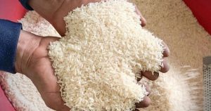 Giá lúa gạo hôm nay 1/8: Gạo bán lẻ Jasmines tăng 2.000 đồng/kg